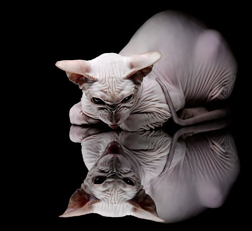 【教士加强攻势】打线效率显著提升