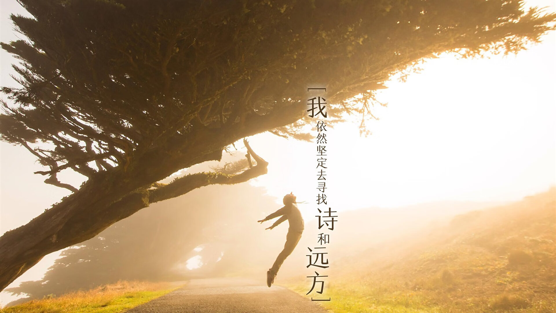 _赛事组织者谈:如何应对突发状况与挑战_,应对突发状况的关键