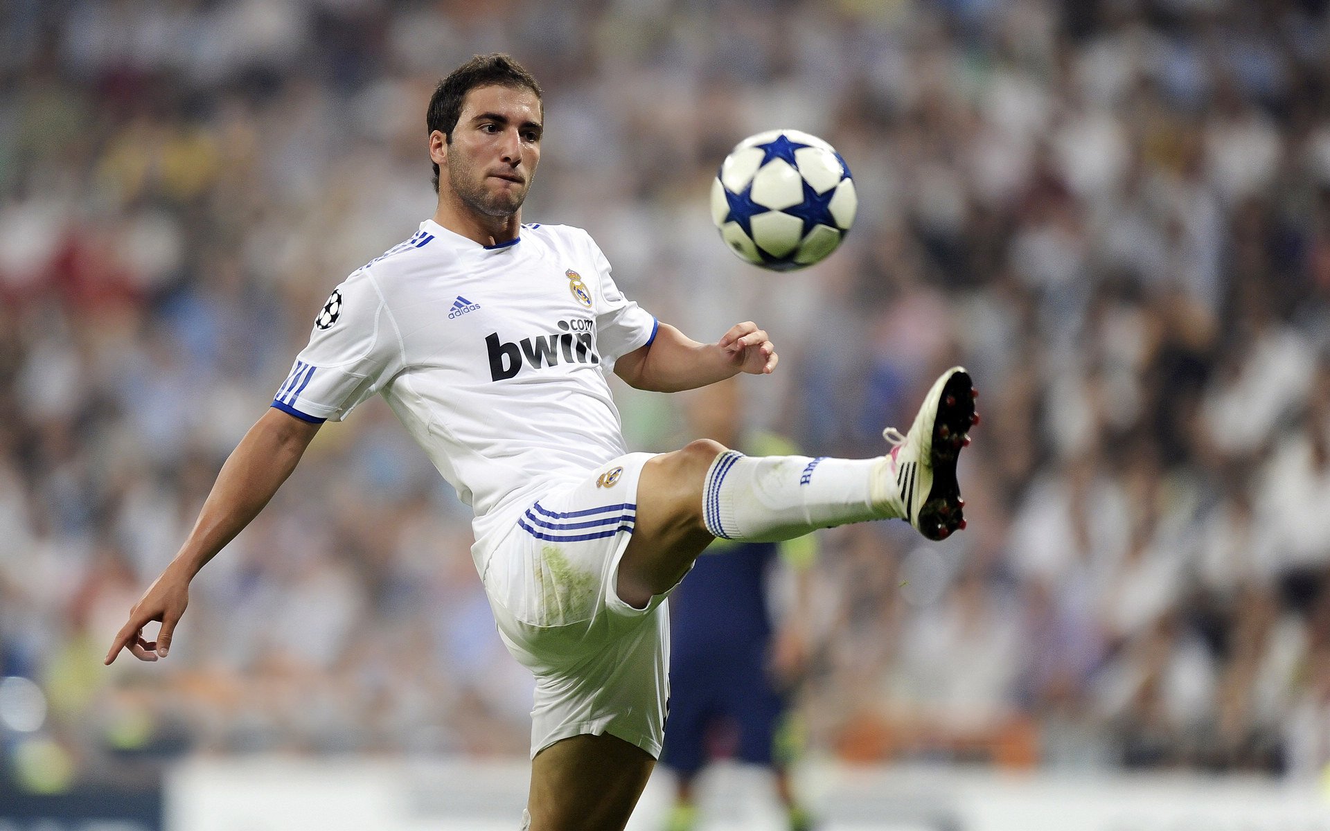 爱游戏体育app-美洲杯热血沸腾：明星拼搏，精彩不断！，美洲杯现场观众